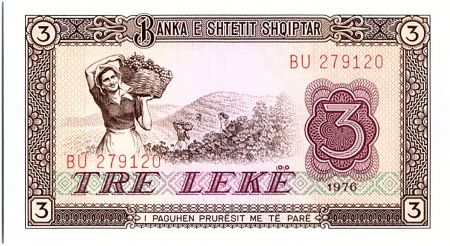 Albanie 3 Leké - Ramassage de raisins - Village - 1976