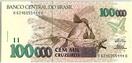 Brésil 100000 Cruzeiros, Oiseaux  - Chutes d\' Iguaçu - 1993