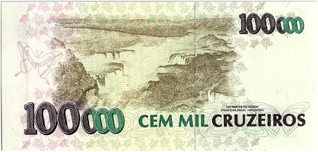 Brésil 100000 Cruzeiros, Oiseaux  - Chutes d\' Iguaçu - 1993