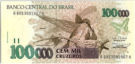 Brésil 100000 Cruzeiros, Oiseaux - Chutes d\' Iguaçu - 1993