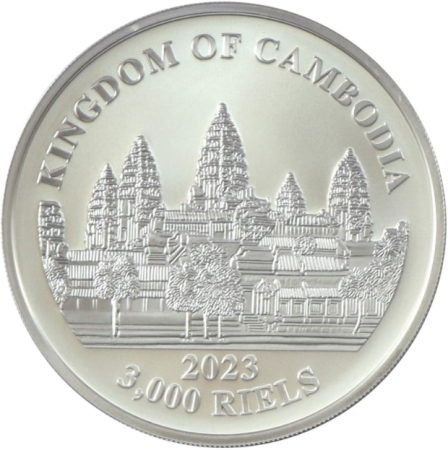 Cambodge Panthère nébuleuse - 1 once Argent 2023 Cambodge - 3000 Riels