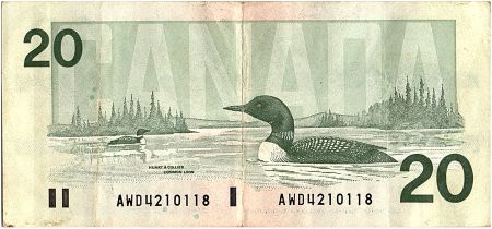 Canada 20 Dollars, Elisabeth II - Canard -1991- P.97c - TTB