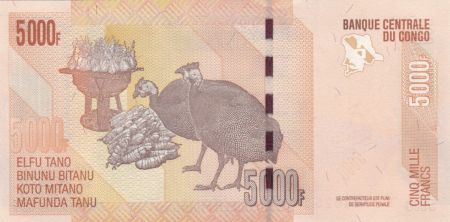 Congo (RDC) 5000 Francs Statue - Zébres - 2013