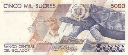 Equateur 5000 Sucres - Juan Montalvo - Tortue - 1999 - Série AO - P.128c