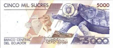 Equateur 5000 Sucres Juan Montalvo - Tortue - Oiseaux - 1999