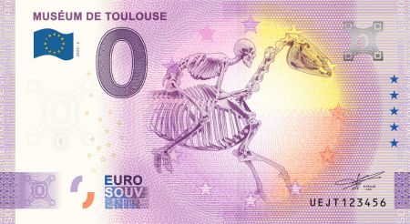 France 0 EURO SOUVENIR - Museum de Toulouse 2023