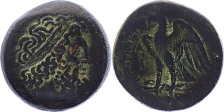 Grèce (Egypte) Bronze, Ptolémée I Soter (-323-283), Alexandrie