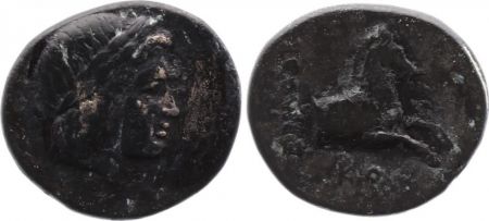 Grèce (Ionie) Bronze, Colophon, Kleandros magistrat ? (c.330-285)