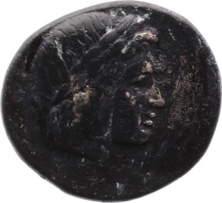 Grèce (Ionie) Bronze, Colophon, Kleandros magistrat ? (c.330-285)