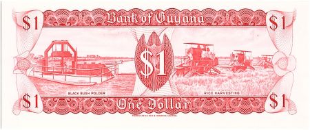 Guyana 1 Dollar, Cascade Kaieteur, Culture du riz - 1989