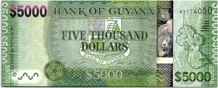 Guyana 5000 Dollars, Carte du Guyana - Paysage - 2019 - Neuf - P.40