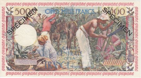Guyane Française 5000 Francs Antillaise - 1955 Spécimen