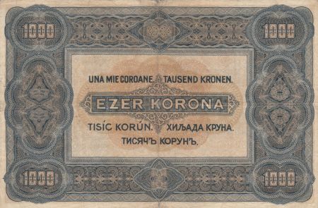 Hongrie 1000 Korona St Stephan - 1920 - TB - P.66a Série B.10