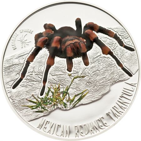 Ile Niue 1 Dollar 2012 - Mygale à genoux rouges du Mexique