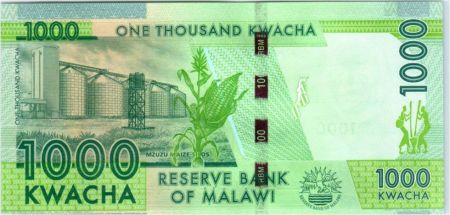 Malawi 1000 Kwacha, Hastings Kamuzu Banda - 2016