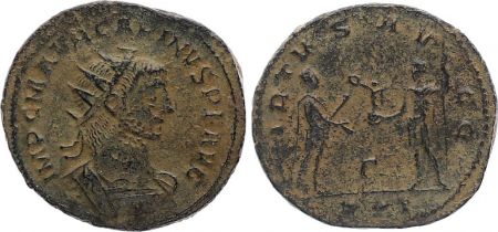 Rome Empire Antoninien,  Carin - 282 Antioche - VIRTVS AVGG - TTB+