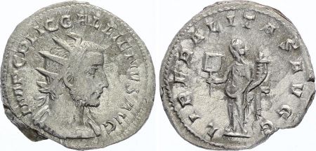 Rome Empire Antoninien,  Gallien - 255 Viminacium - LIBERALITAS AVGG - TTB+