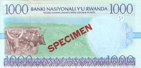 Rwanda 1000 F Volcan - Plantation thé et bétail