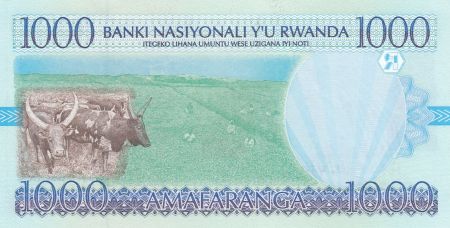 Rwanda 1000 Francs 1998 - Paysage, vaches