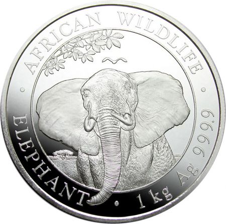 Somalie 1 Kilo Argent Somalie 2021 - Éléphant