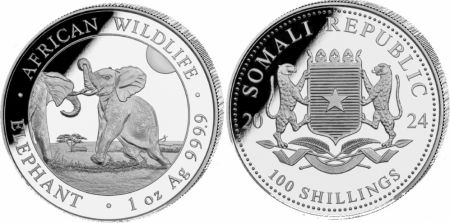Somalie 100 Shillings - 1 Once Argent  2024 - Éléphant