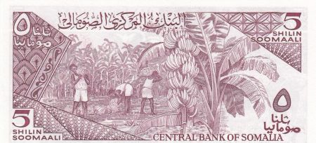 Somalie 5 Shillings 1983 - Zébus, bananeraie