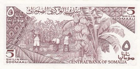 Somalie 5 Shillings 1987 - Zébus, travailleurs agricoles