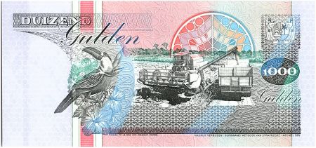Suriname 1000 Gulden, Récolte - 1993 - Neuf - P.141 a
