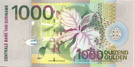 Suriname 1000 Gulden Oiseaux: bleu-gris - 2000
