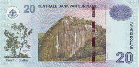 Suriname 20 Dollars Banque - Montagnes Voltzberg - 2010