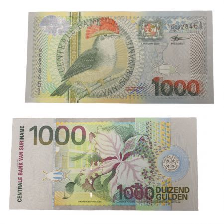 Suriname Lot 6 billets 5 à 1000 Gulden SURINAME