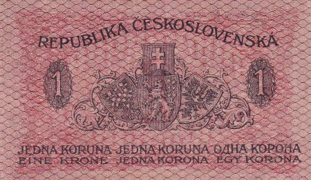 Tchécoslovaquie 1 Koruna - Bleu - 1919 - P.6a