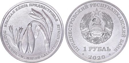 Transnistrie 1 Rouble -  Fleur Galanthus - 2020 - SPL