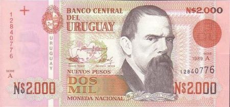 Uruguay 2000 Nuevos pesos pesos, Juan Manuel Blanes
