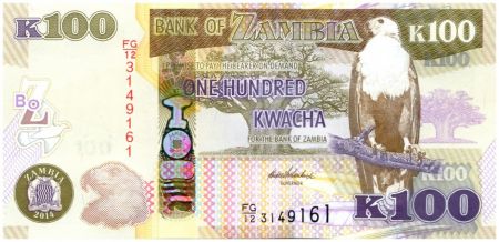 Zambie 100 Kwacha Aigle - Buffle