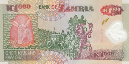 Zambie 1000 Kwacha 2008 - Aigle - Polymer