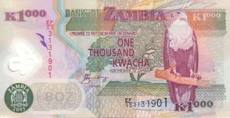 Zambie 1000 Kwacha Aigle