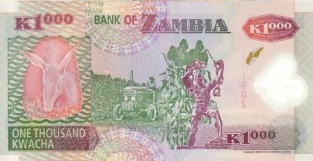 Zambie 1000 Kwacha Aigle