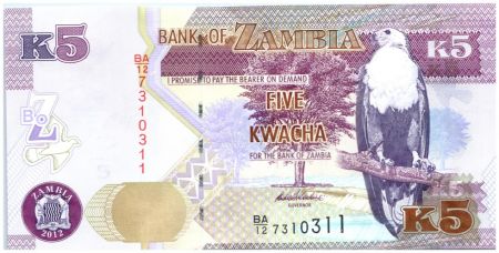 Zambie 5 Kwacha Aigle - Lion
